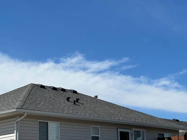 Best Roof Maintenance and Cleaning  in Fair Plain, MI
