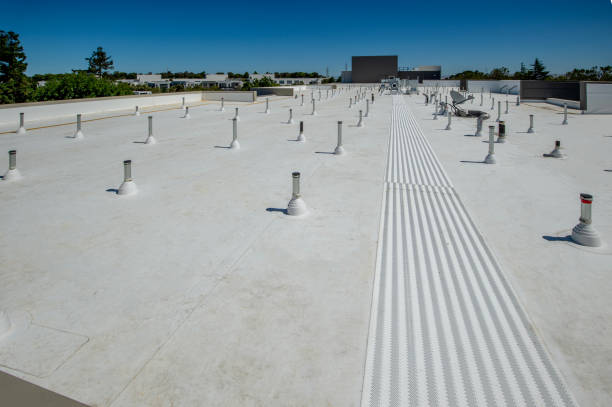 Best Steel Roofing  in Fair Plain, MI